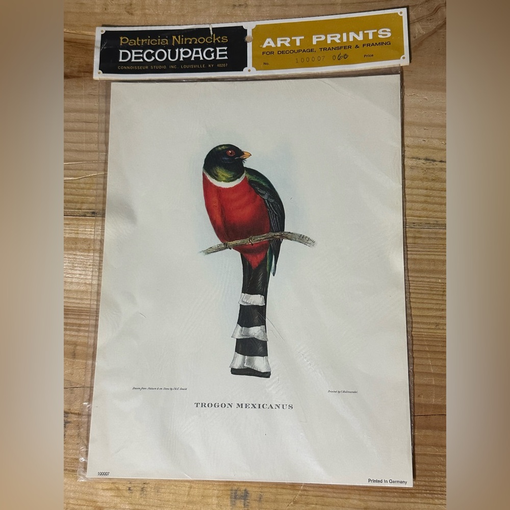 1800's  J. Gould Hullmandel Ornithology Lithograph Trogon Mexicanus